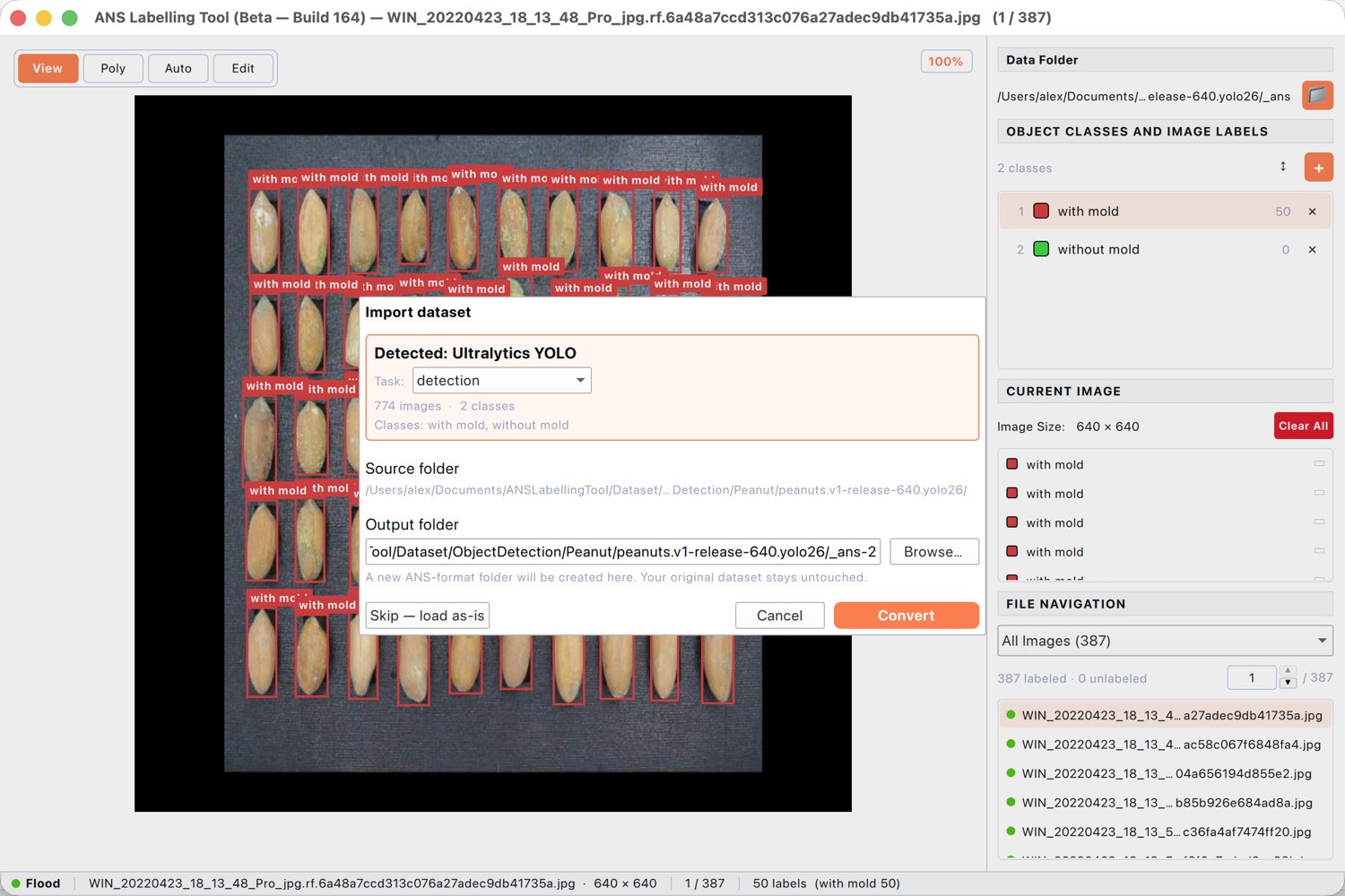 Labelling tool import dialog auto-detecting an Ultralytics YOLO dataset, ready to convert.